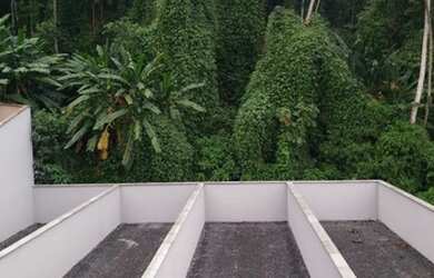 Imagem 6: JARAGUÁ DO SUL - Casa Padrão - CHICO DE PAULO