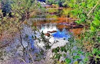 Imagem: A fazenda possui 198.000m² de Área e está localizado em