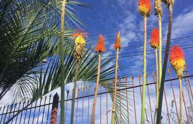 Imagem 7: Casa Vila Seca Casa com 4 dormitórios