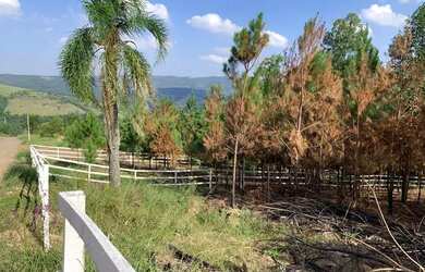 Imagem 1: Terreno 1000 m quadrados