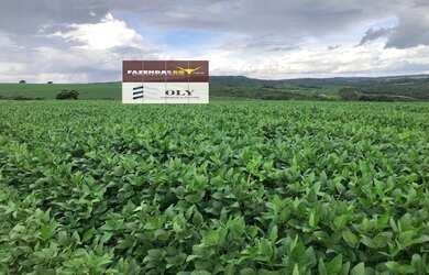 Imagem: A fazenda está localizado em Pires do Rio, GO à venda por