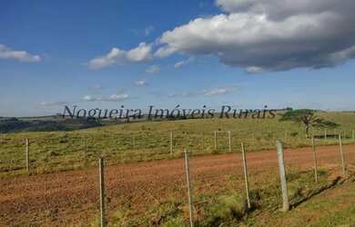 Imagem 7: Fazenda com 1.115 alqueires com represa Nogueira Imóveis Rurais