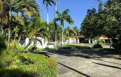 Imagem 3: Terreno à venda, 28680 m² por R$ 5.000.000,00 - Paupina - Fortaleza/CE