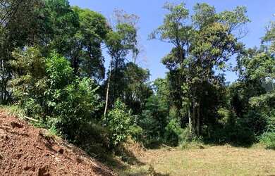 Imagem: A chácara possui 5.000m² de Área e está localizado em Tamboré