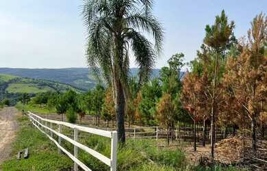 Imagem 4: Terreno 1000 m quadrados