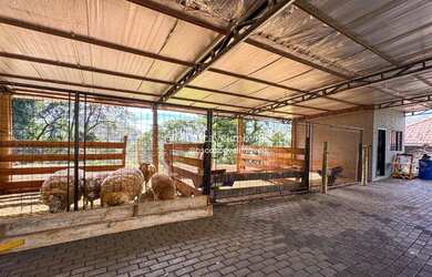 Imagem 7: Chácara com 10.000 m2 com ótima estrutura Casa principal mobiliada