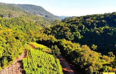 Imagem 9: Sítio / Chácara para Venda em Nova Petrópolis, Arroio Paixão