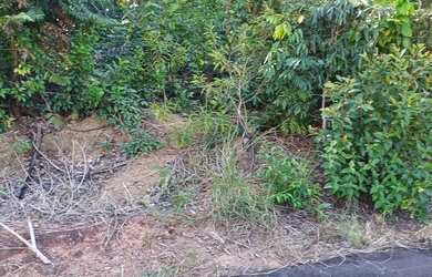 Imagem 11: Chácara Janauary. Piscina, Churrasqueirae1.000m² de Área