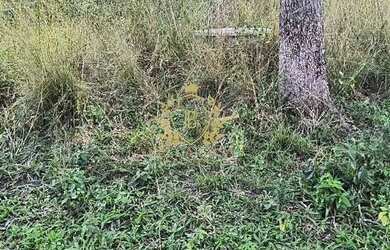 Imagem 13: Lote com 360m² em condominio à venda por R$ 28.000,00 - Itatiquara -...