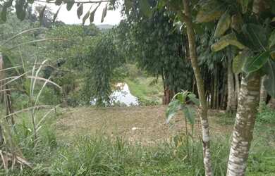 Imagem 9: 1 hectare pisciciultura abandonada 277 mil reais 2 casas