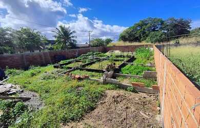 Imagem 9: Terreno a venda em Saquarema