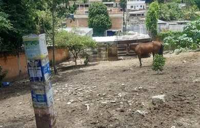 Imagem 6: excelente lote de terreno