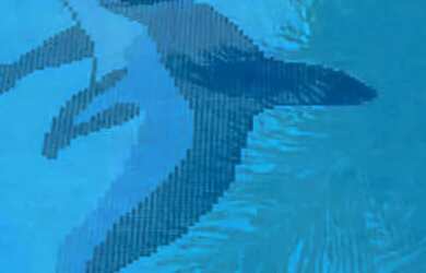 Imagem 13: Casa em Vila Mathias, Casa em Santos, Casa com 4 dorms, Casa à Venda...