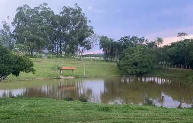 Imagem 14: Chácara de 8 alqueires em bela vista de Goias. 4 milhões avista