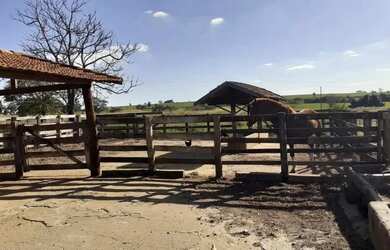 Imagem: A fazenda possui 72.600m² de Área e está localizado em Cajuru