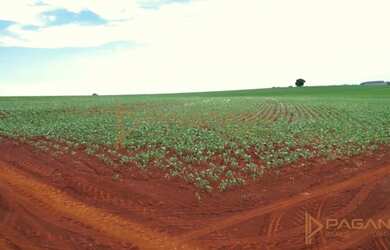 Imagem 2: VENDA Fazenda / sítio com venda por R$6.400.000