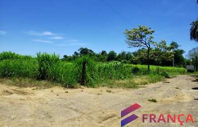 Imagem 7: França Consultoria Imobiliária vende fazenda no Xuri, Vila Velha/ES