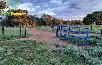 Imagem: A fazenda possui 43.560.000m² de Área e está localizado