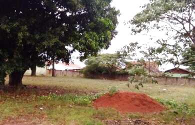 Imagem 7: Vendo 4 terrenos totalizando 1000 metros quadrados em Bernardino de Campos...