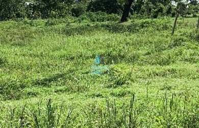 Imagem 4: Crixás - Fazenda - Zona Rural