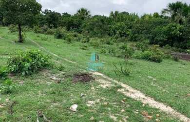 Imagem 12: Crixás - Fazenda - Zona Rural