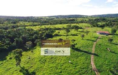 Imagem: A fazenda está localizado em Montes Claros de Goiás, GO à