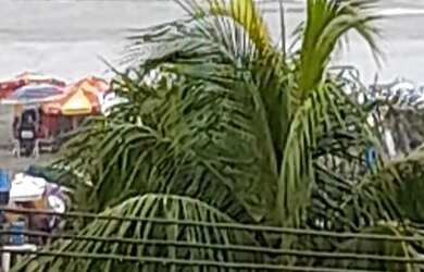 Imagem 13: Aluga. 27m² de Área, 1 Banheiroe1 Dormitório