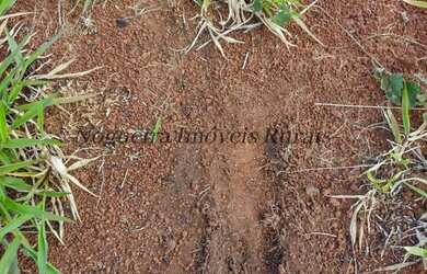 Imagem 16: Fazenda com 1.115 alqueires com represa Nogueira Imóveis Rurais