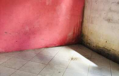 Imagem 5: Casa para vender. Imóvel novo, 161m² de Área, 2 Banheirose4 Dormitórios