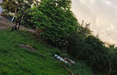 Imagem 6: Chácara em Guapó. 3.000m² de Área