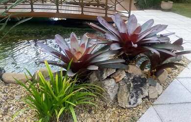 Imagem 15: Imóvel para venda tem 134 metros quadrados com 3 quartos