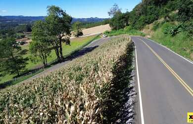 Imagem 2: Sítio / Chácara para Venda em Nova Petrópolis, Nove Colonias