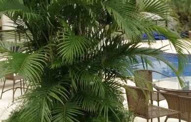 Imagem 4: Alugo ótimo apartamento de 01 quarto em Águas Claras