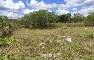 Imagem: O terreno à venda possui e está localizado em Conceição