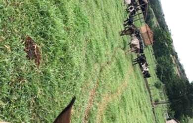 Imagem: A fazenda está localizado em Caiapônia, GO à venda por R$6.000.000