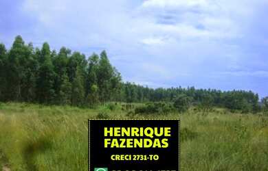 Imagem: A fazenda possui 2899160m² de Área e Imóvel novo e está