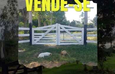 Imagem: A chácara possui 12m² de Área e está localizado em São