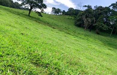 Imagem 16: LP-Vendo terreno em condomínio exclusivo fechado