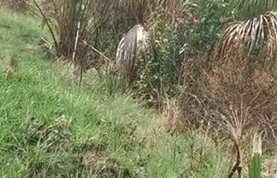 Imagem: A chácara possui 10.250m² de Área e está localizado em