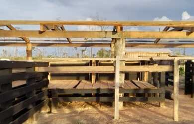 Imagem 3: Fazenda em Guariba Mato Gorsso