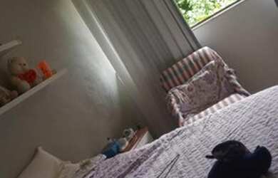 Imagem 15: APARTAMENTO A VENDA 3/4, 4 GARAGENS NA GRAÇA EM SALVADOR