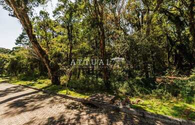 Imagem 4: TERRENO CONDOMÍNIO PINHEIRO GROSSO