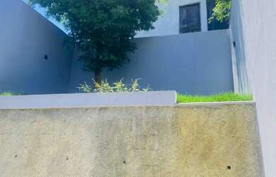 Imagem 12: Germinadores de Alto Padrão