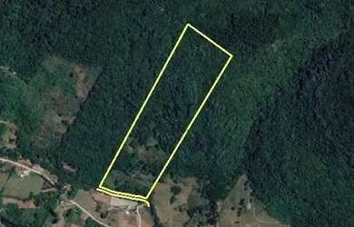 Imagem 5: Sítio bairro Linha Pirajá, Nova Petrópolis.RS REF 336