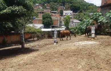 Imagem 8: excelente lote de terreno