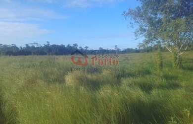 Imagem: A fazenda possui 474m² de Área e está localizado em Belmonte