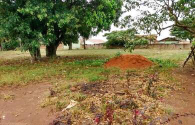 Imagem 2: Vendo 4 terrenos totalizando 1000 metros quadrados em Bernardino de Campos...