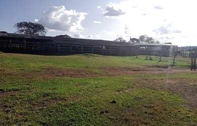 Imagem 3: Fazenda de 37 alqueires. 