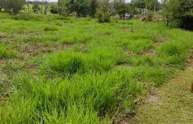 Imagem: O terreno possui 1000m² de Área e está localizado em Laranjal