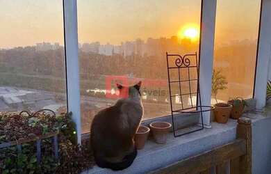 Imagem: O apartamento na cobertura possui 3 Dormitórios, 5 Banheiros